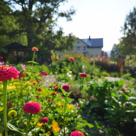 Disponentparken Cafe Och Bed & Breakfast Grängesberg 外观 照片