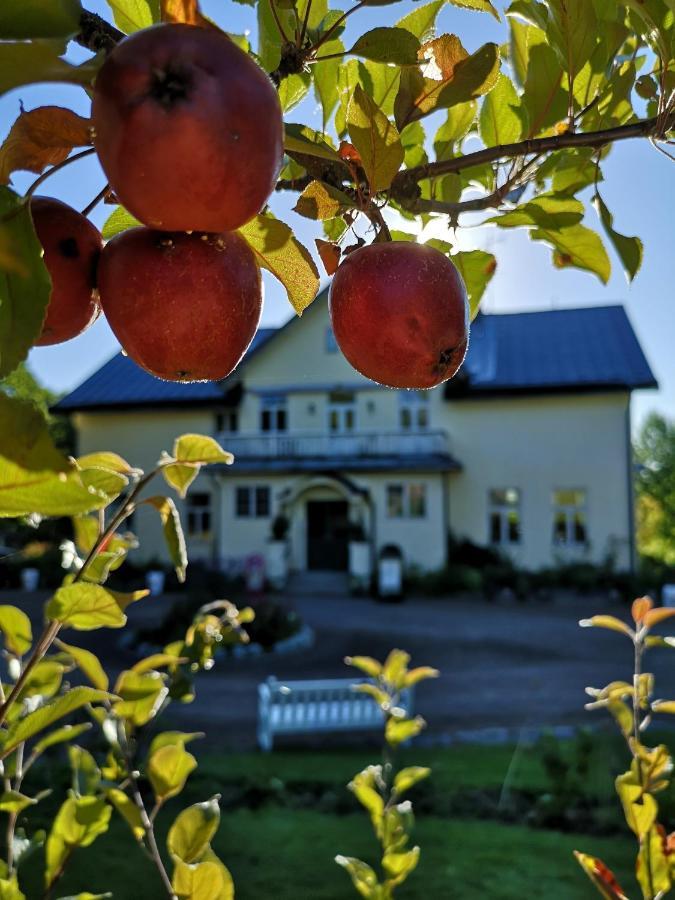 Disponentparken Cafe Och Bed & Breakfast Grängesberg 外观 照片
