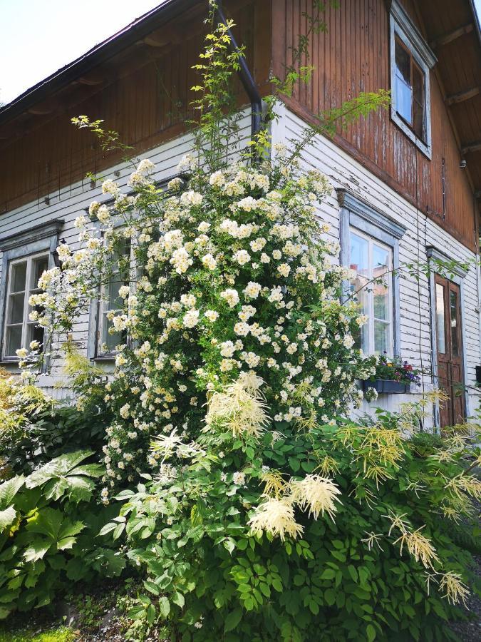 Disponentparken Cafe Och Bed & Breakfast Grängesberg 外观 照片
