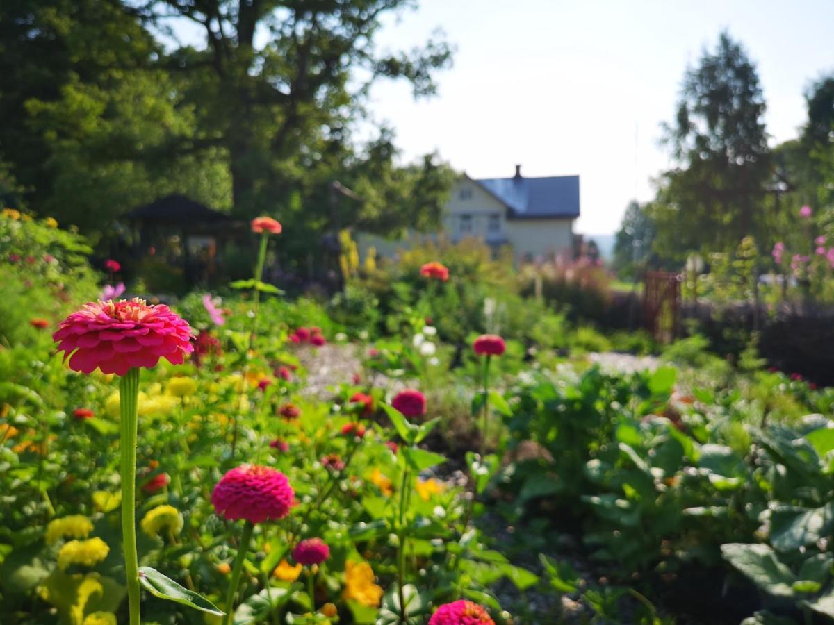 Disponentparken Cafe Och Bed & Breakfast Grängesberg 外观 照片