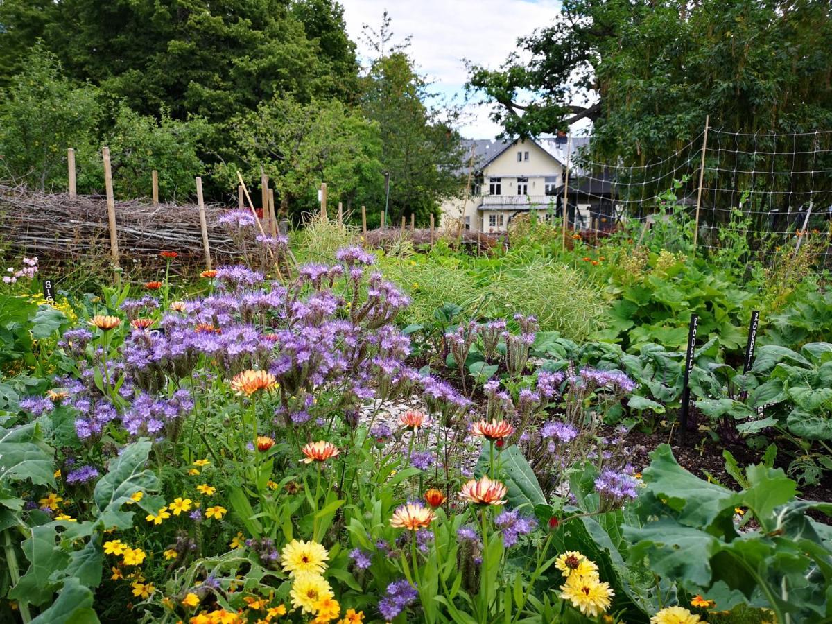 Disponentparken Cafe Och Bed & Breakfast Grängesberg 外观 照片